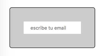 formulario web minimalista